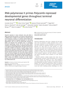 RNA Polymerase II Primes Polycomb‐Repressed Developmental Genes Throughout Terminal Neuronal Differentiation