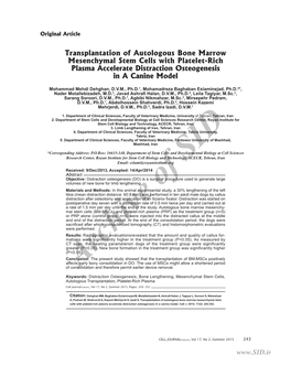 Transplantation of Autologous Bone Marrow Mesenchymal Stem Cells with Platelet-Rich Plasma Accelerate Distraction Osteogenesis in a Canine Model