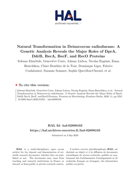 Natural Transformation in Deinococcus Radiodurans: A