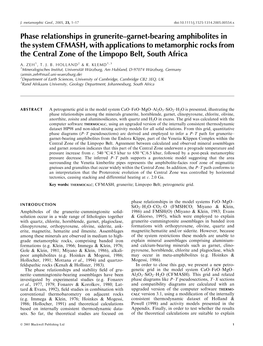 Phase Relationships in Grunerite–Garnet-Bearing Amphibolites in The