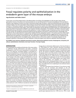 Foxa2 Regulates Polarity and Epithelialization in the Endoderm Germ Layer of the Mouse Embryo Ingo Burtscher and Heiko Lickert*