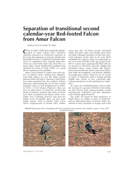 Separation of Transitional Second Calendar-Year Red-Footed Falcon from Amur Falcon