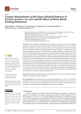 Genetic Manipulation of the Ergot Alkaloid Pathway in Epichloë Festucae Var