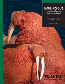 HAULING OUT: International Trade and Management of Walrus