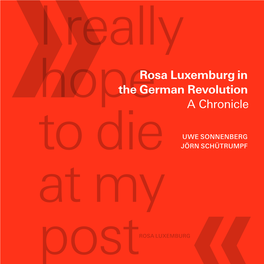 Rosa Luxemburg in the German Revolution a Chronicle