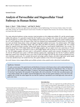 Analysis of Parvocellular and Magnocellular Visual Pathways in Human Retina