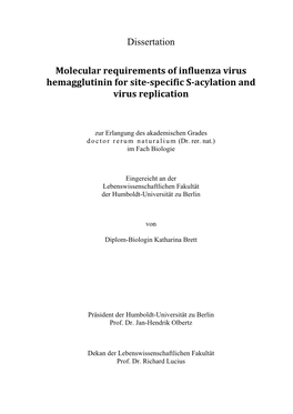 Molecular Requirements of Influenza Virus Hemagglutinin for Site-Specific