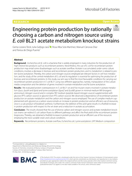 Engineering Protein Production by Rationally Choosing a Carbon and Nitrogen Source Using E