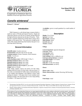 Canella Winterana1