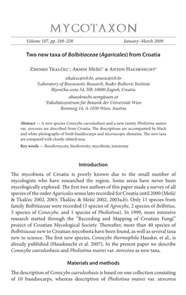 Two New Taxa of <I>Bolbitiaceae</I> (<I>Agaricales</I>)