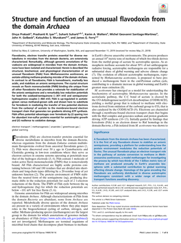 Structure and Function of an Unusual Flavodoxin from the Domain Archaea