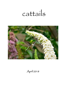 Cattails – April 2018 Cattails: the Official Journal of the United Haiku and Tanka Society