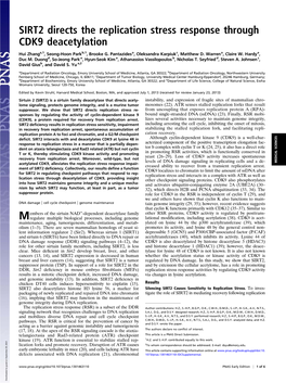 SIRT2 Directs the Replication Stress Response Through CDK9 Deacetylation