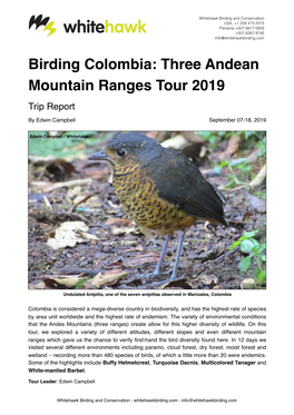 Birding Colombia: Three Andean Mountain Ranges Tour 2019 Trip Report