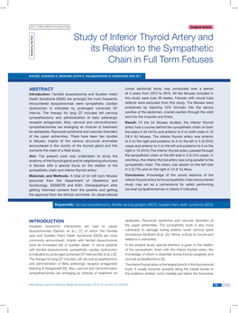 Study of Inferior Thyroid Artery and Its Relation to the Sympathetic Chain in Full Term Fetuses