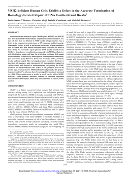 MSH2-Deficient Human Cells Exhibit a Defect in the Accurate Termination of Homology-Directed Repair of DNA Double-Strand Breaks1