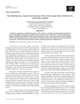 Tip Withering Bug, Anoplocnemis Phasiana (Fab.), Halts Grape Shoots: Friend Or Foe, Arrival Time Explains