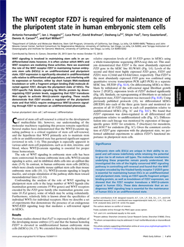 The WNT Receptor FZD7 Is Required for Maintenance of the Pluripotent State in Human Embryonic Stem Cells