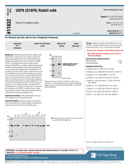 USP8 (D18F6) Rabbit Mab - 20ºC Store at Support: 877-678-TECH (8324) Info@Cellsignal.Com