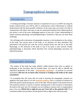 Topographical Anatomy of the Human Body