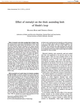 Effect of Mersalyl on the Thick Ascending Limb of Henle's Loop