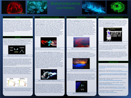 Abstract Chemistry Adaptations and Uses in Animals Bioluminescence