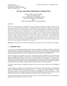 Pressure and Velocity Distributions in Plunge Pools