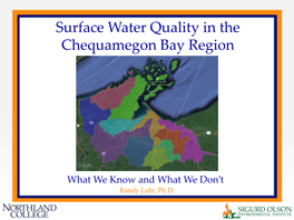 Surface Water Quality in the Chequamegon Bay Region