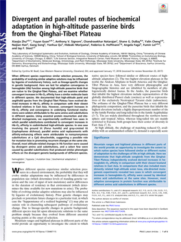 Divergent and Parallel Routes of Biochemical Adaptation in High-Altitude Passerine Birds from the Qinghai-Tibet Plateau