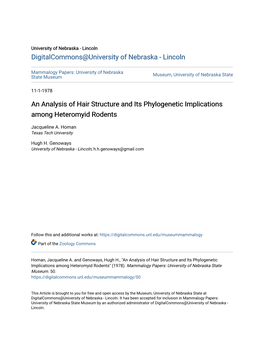 An Analysis of Hair Structure and Its Phylogenetic Implications Among Heteromyid Rodents