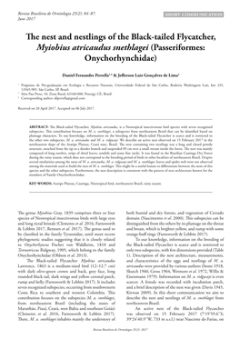 The Nest and Nestlings of the Black-Tailed Flycatcher, Myiobius Atricaudus Snethlagei (Passeriformes: Onychorhynchidae)