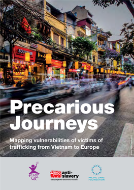 Mapping Vulnerabilities of Victims of Trafficking from Vietnam to Europe 1