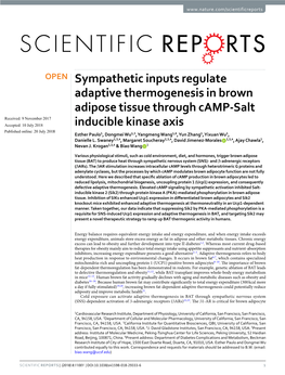 Sympathetic Inputs Regulate Adaptive Thermogenesis in Brown Adipose