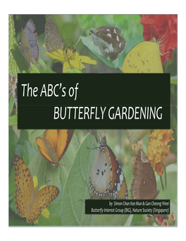 Butterfly Gardening