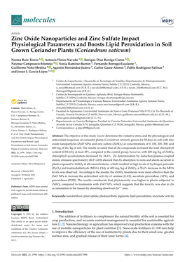 Zinc Oxide Nanoparticles and Zinc Sulfate Impact Physiological Parameters and Boosts Lipid Peroxidation in Soil Grown Coriander Plants (Coriandrum Sativum)