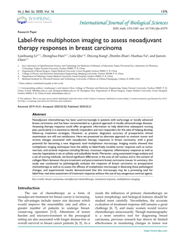Label-Free Multiphoton Imaging to Assess Neoadjuvant Therapy