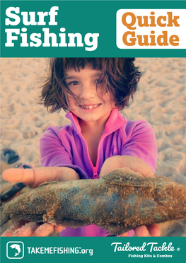 Surf Fishing Kit Sports All the Surf Fishing Rigs and Lures from the Quick Guide