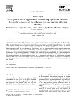 Nerve Growth Factor Applied Onto the Olfactory Epithelium Alleviates