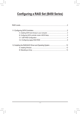 Configuring a RAID Set (B450 Series)