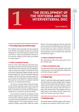 The Development of the Vertebra and the Intervertebral Disc 1