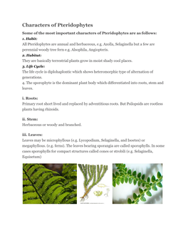 Pteridophytes-Nephrolepis