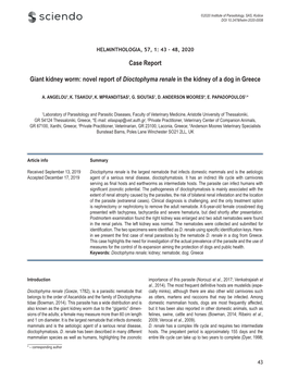 Novel Report of Dioctophyma Renale in the Kidney of a Dog in Greece