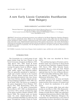 A New Early Liassic Caytoniales Fructification from Hungary