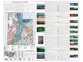 Ecoregions of Utah Scattered Open Forests Are Found at Higher Elevations on Mountain Slopes