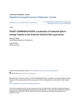 SHORT COMMUNICATIONS: Localization of Oviductal Sperm- Storage Tubules in the American Kestrel (Falco Sparverius)