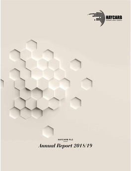 The the Annual Report 2018/19
