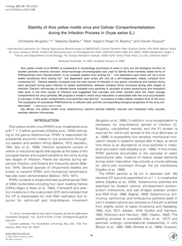 Stability of Rice Yellow Mottle Virus and Cellular Compartmentalization During the Infection Process in Oryza Sativa (L.)