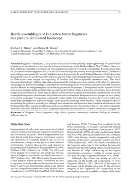 Beetle Assemblages of Kahikatea Forest Fragments in a Pasture-Dominated Landscape