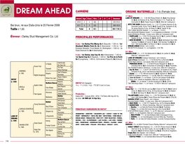 DREAM AHEAD CARRIÈRE ORIGINE MATERNELLE : 1-B (Female Line) 1Ère Mère Année Age Cses Vict