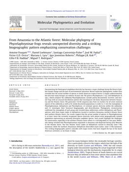 From Amazonia to the Atlantic Forest: Molecular Phylogeny Of